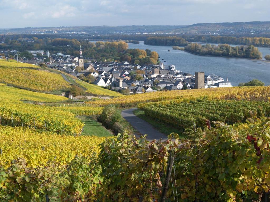 Ruedesheimer Hof Hotel Rüdesheim am Rhein